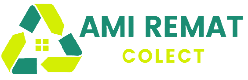 AMI REMAT COLECT